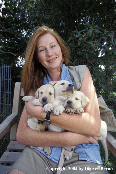 Woman with yellow Labrador Retriever puppies