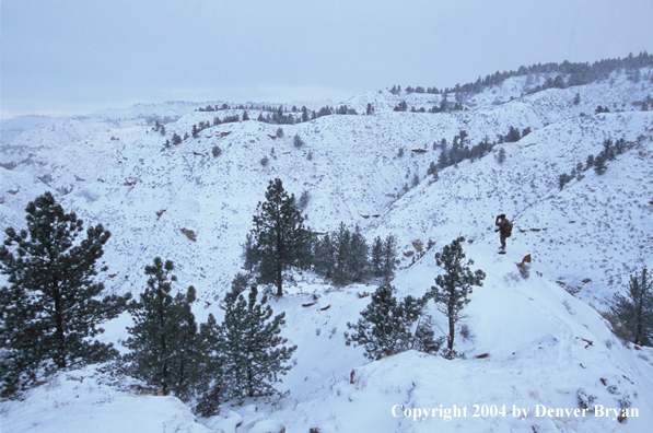 Big game hunter glassing.