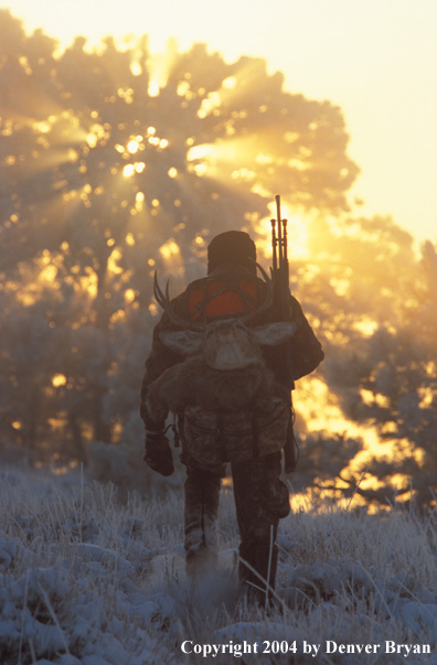 Big game hunter packing out kill.