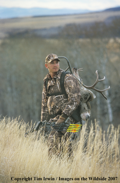 Bowhunter packing caped mule deer.