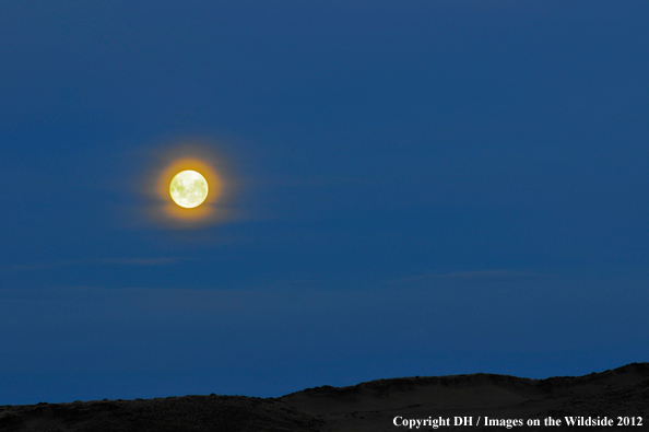 Full moon rising over landscape. 