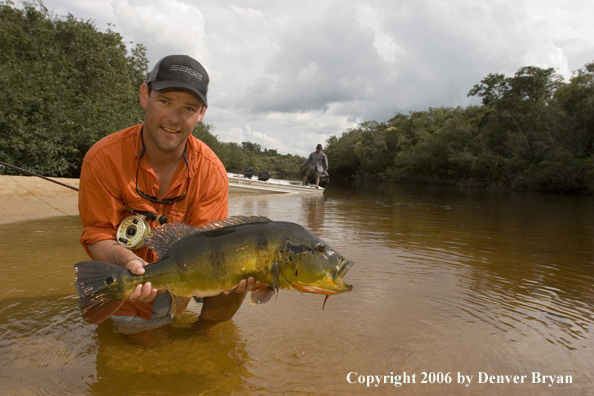 Fisherman holding Peacock Bass