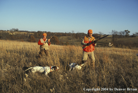 Upland bird hunters with English Pointers
