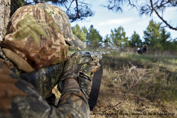 Hunter with (Merriam's) turkey in sights