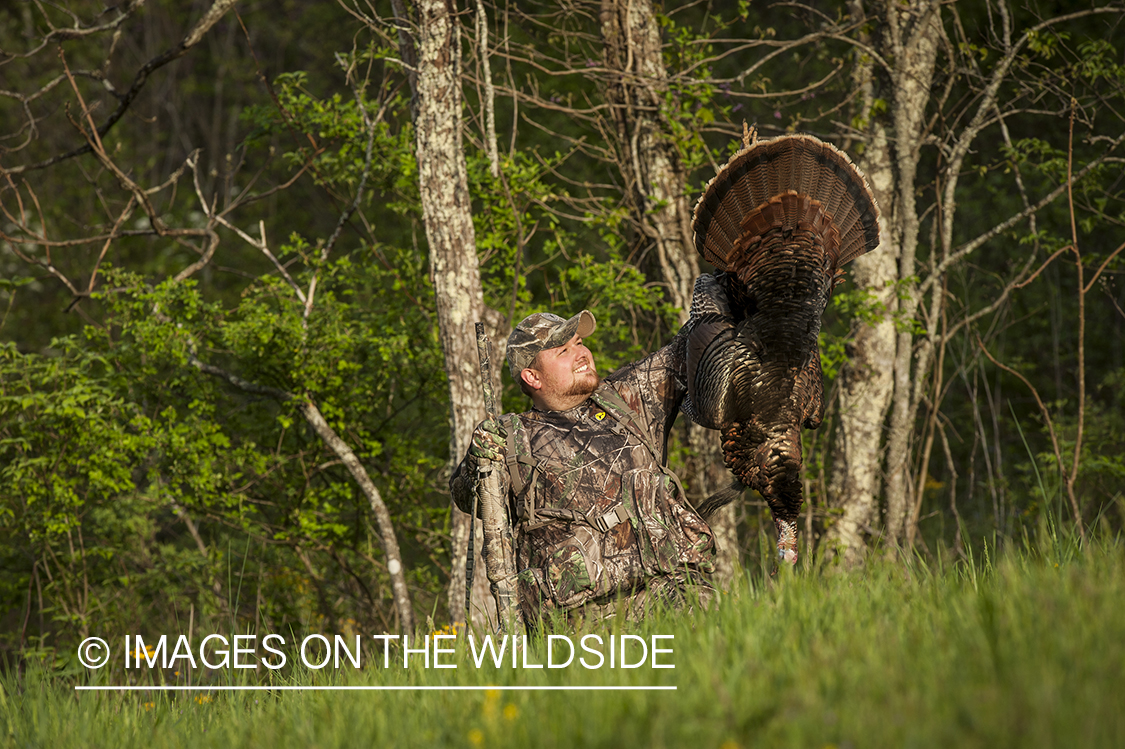 Turkey hunter with bagged turkey in field.