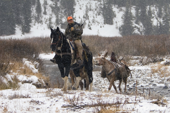 Elk hunt packstring in mountains