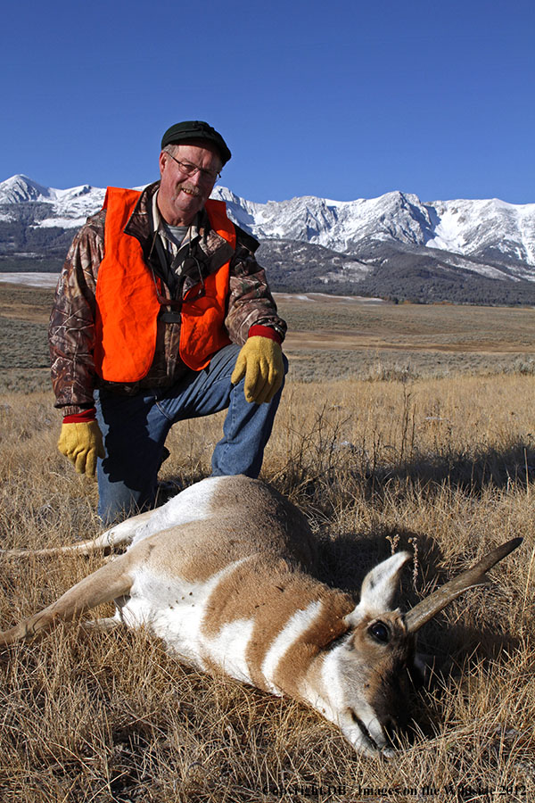 Hunter with downed pronghorned buck.