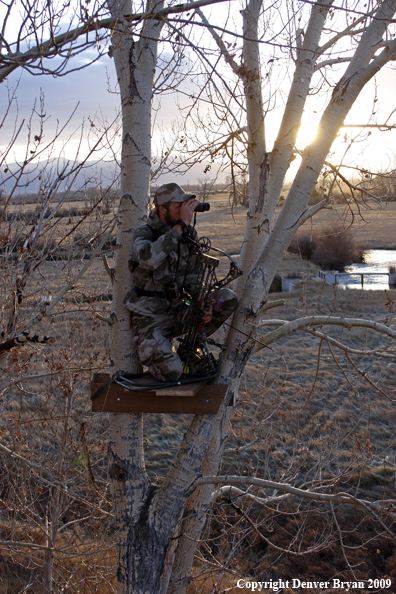 Bowhunter glassing area from tree stand.