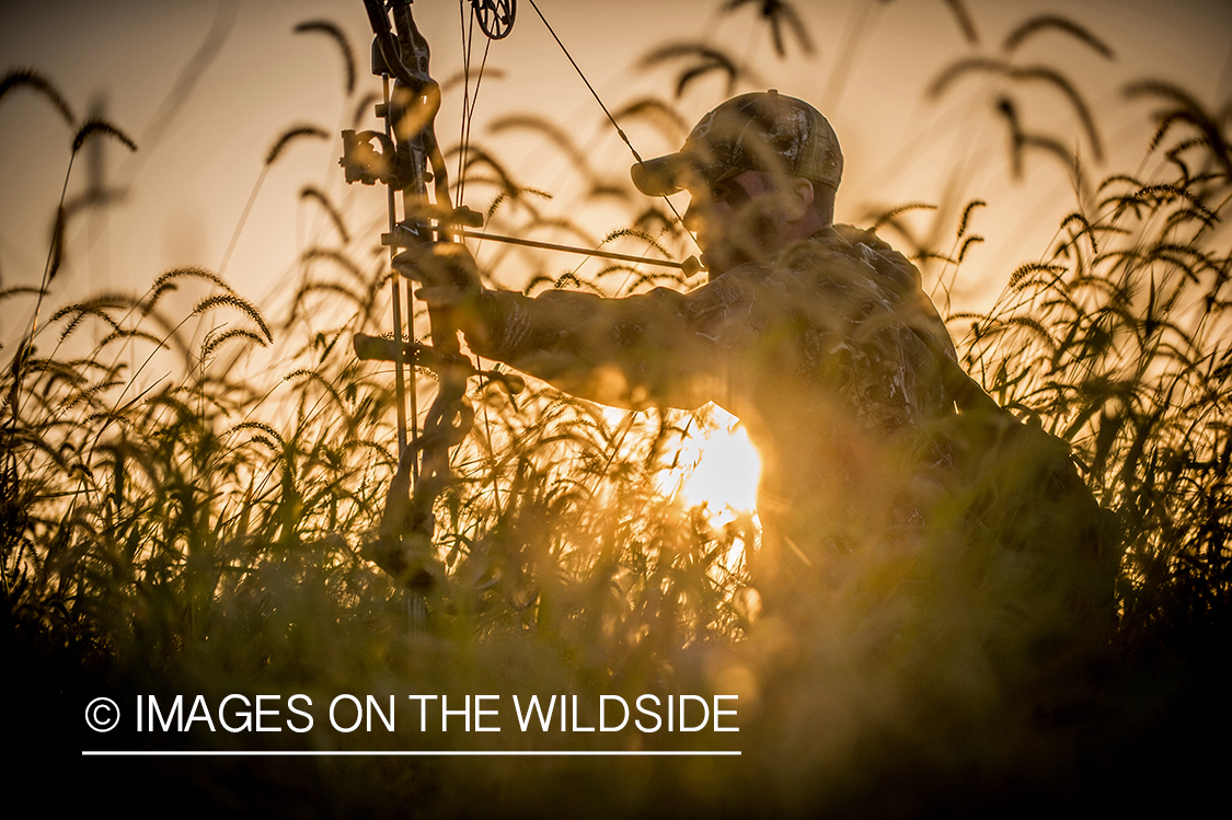Bow hunter in field aiming at game.