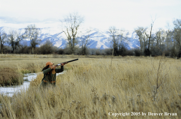 Woman upland game bird hunter in field.