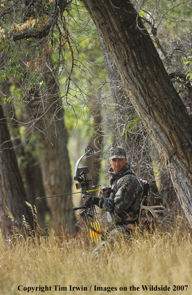 Bowhunter in woods.