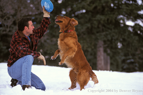 Man playing frisbee with golden Retriever