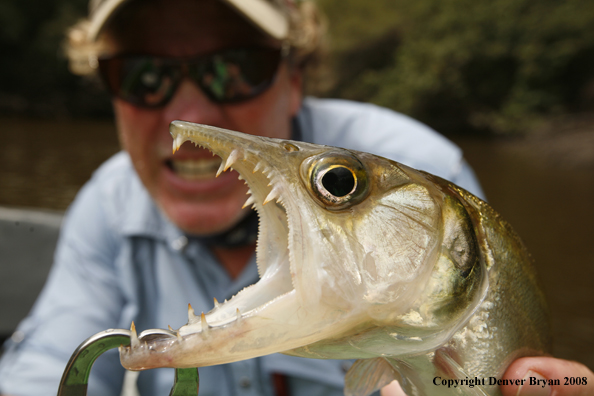 Flyfisherman with catch