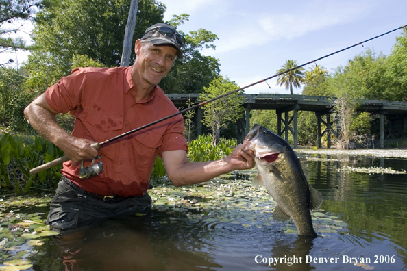 Fisherman with Largemouth Bass.  