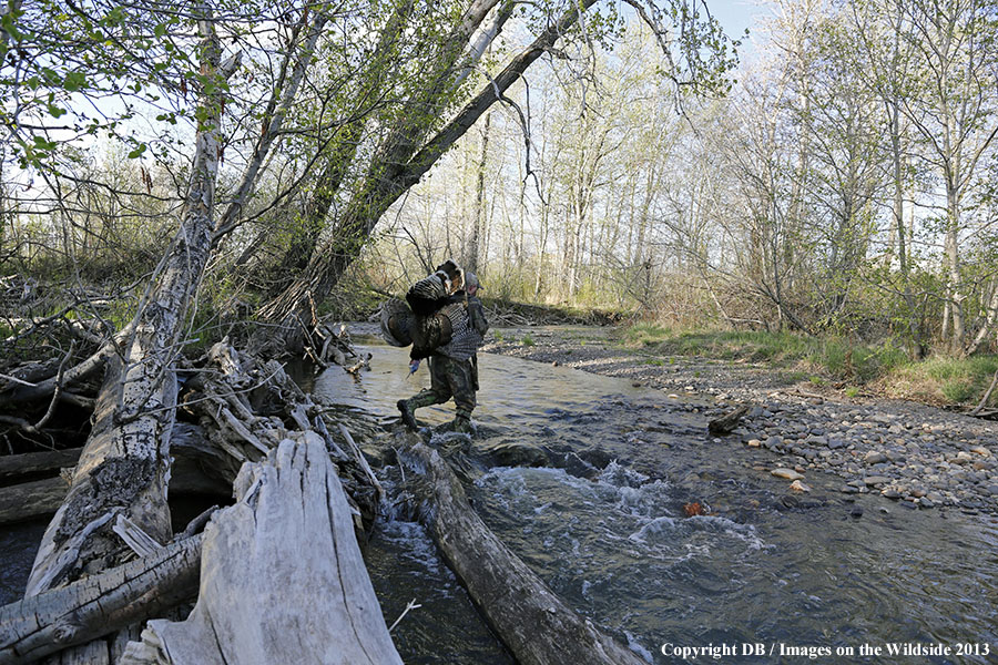 Turkey hunter in field with bagged turkey.