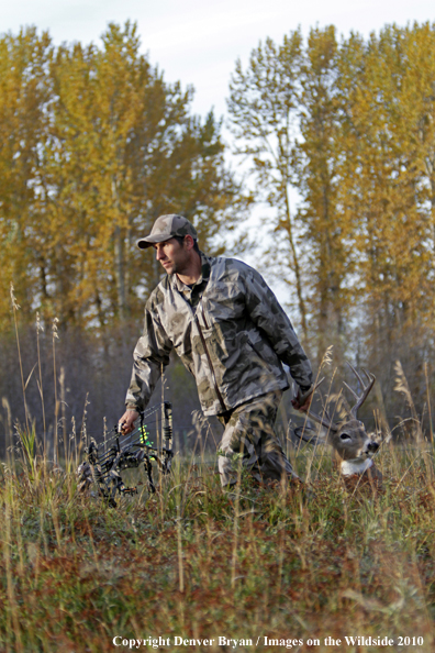 Bowhunter dragging downed white-tailed buck.