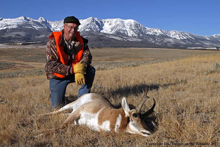 Hunter with downed pronghorned buck.