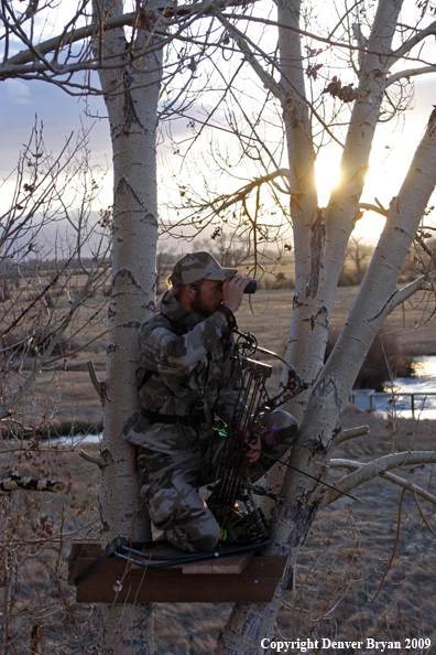 Bowhunter glassing area from tree stand.