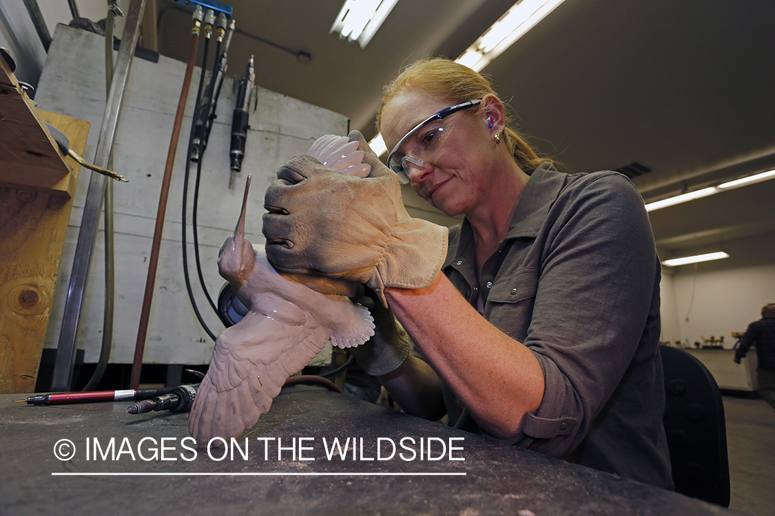 Wildlife sculptor Liz Lewis working on sculpture. 