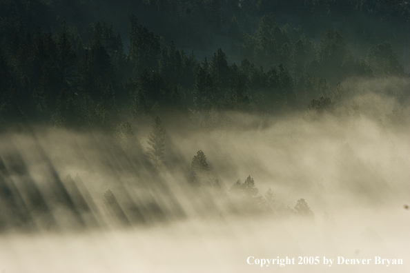 Smith River Valley in fog.