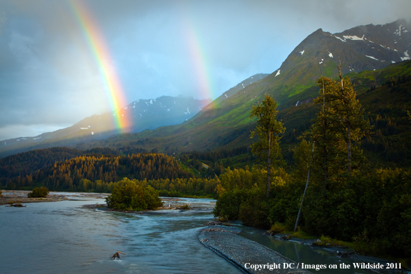 Alaskan mountains and river with rainbows touching down