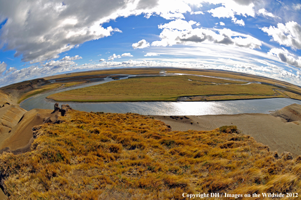Landscape in Tierra del Fuego. 