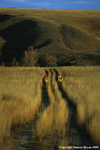 Hunters walking down road