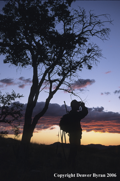 African hunter glassing at sunset.