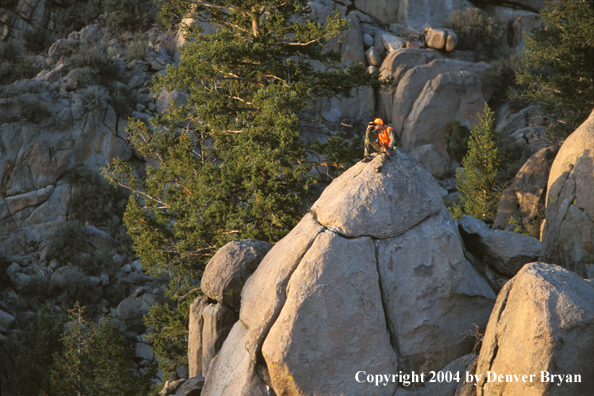 Big game hunter glassing.