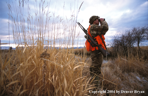 Big game hunter glassing.