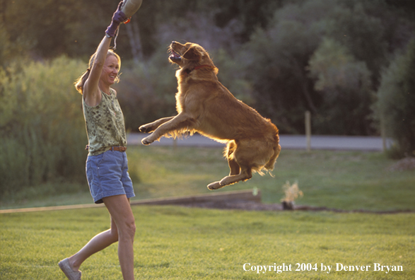 Woman playing with golden Retriever
