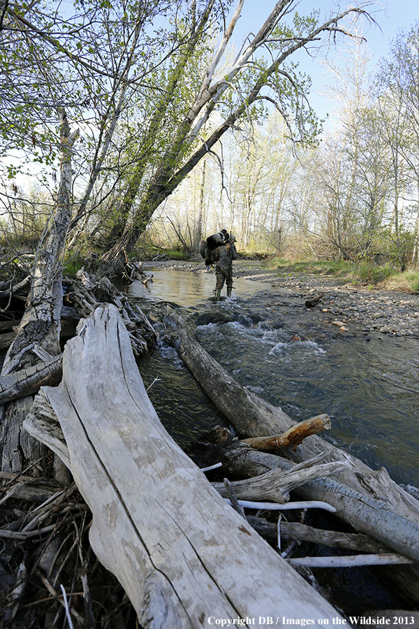 Turkey hunter in field with bagged turkey.