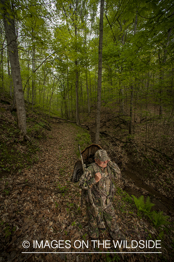 Turkey hunter with bagged turkey in field.