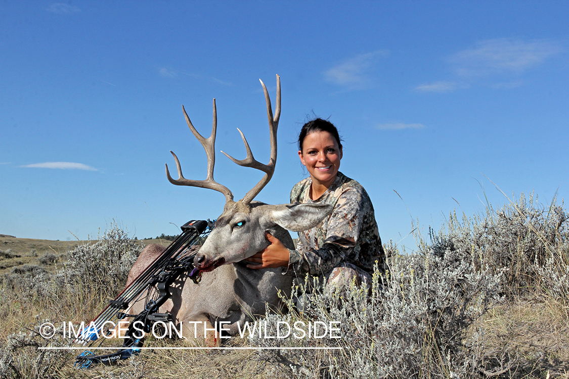 Woman hunter with bagged mule deer.