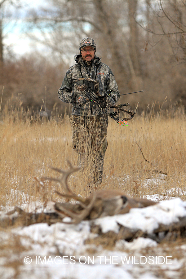 Bowhunter approaching downed white-tailed buck.