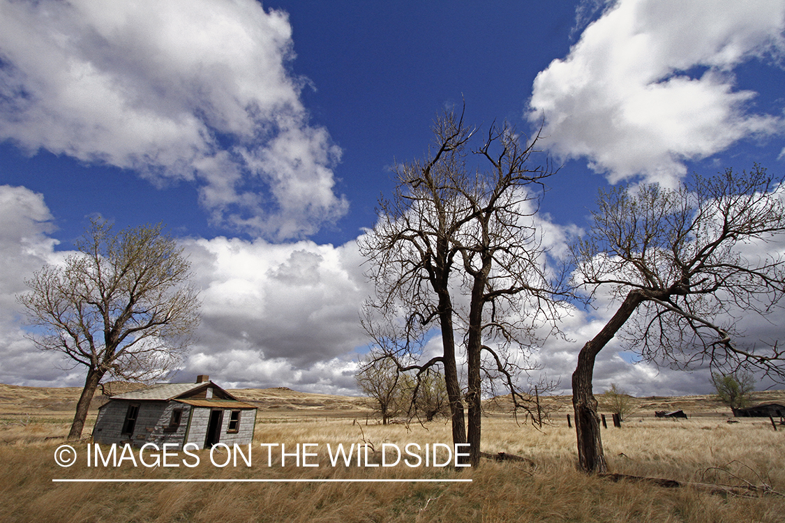 Eastern Montana Landscapes