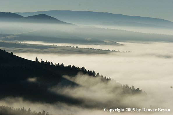 Smith River Valley in fog.