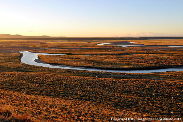 Landscape in Tierra del Fuego. 