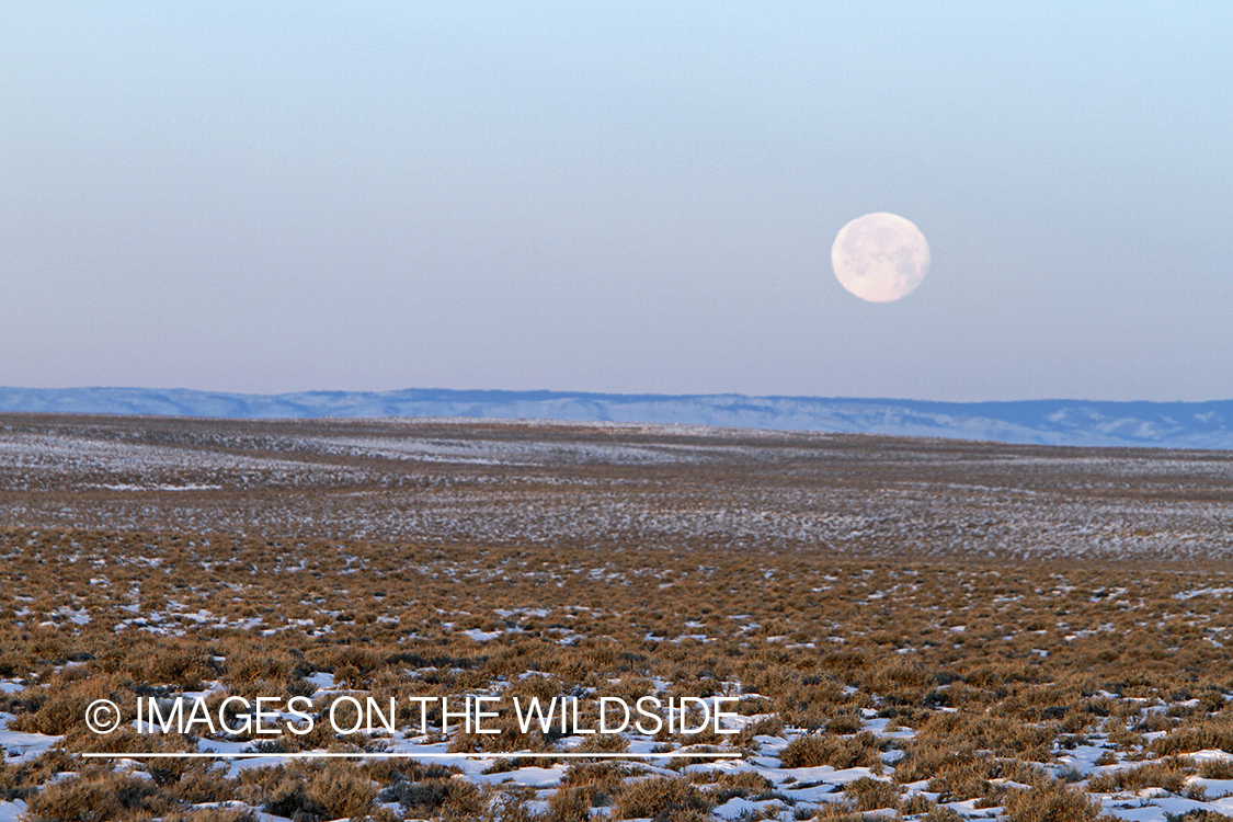 High mountain desert in Wyoming.