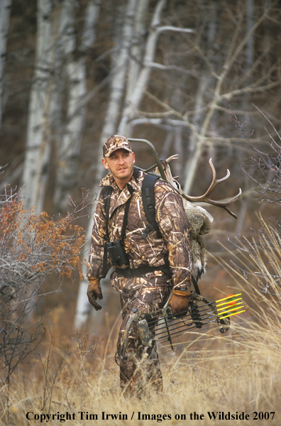 Bowhunter packing caped mule deer.
