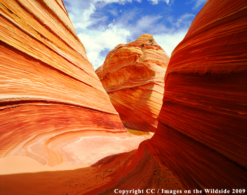 The Wave, Pariah Canyon, Arizona