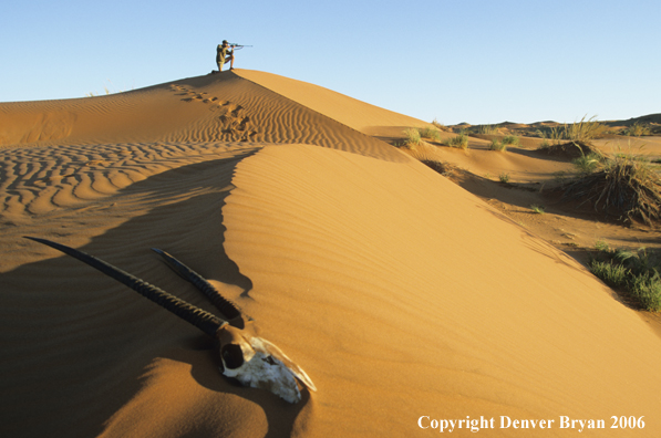 African hunter aiming from atop sanddune at game.