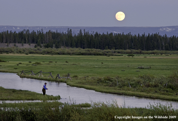 Flyfisherman fishing south fork of the Madison river