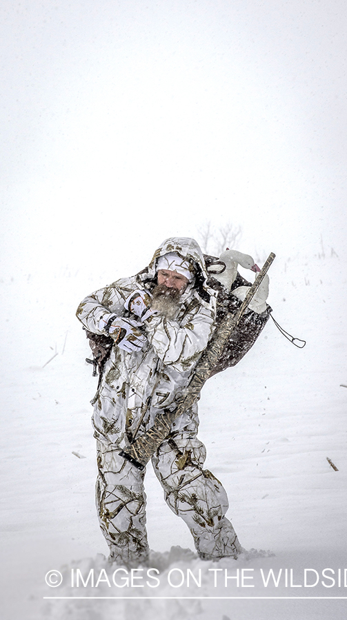 Hunter in winter with goose decoys.
