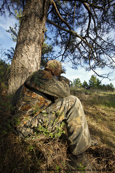 Hunter with (Merriam's) turkey in sights
