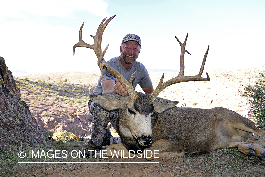 Hunter with downed mule deer.
