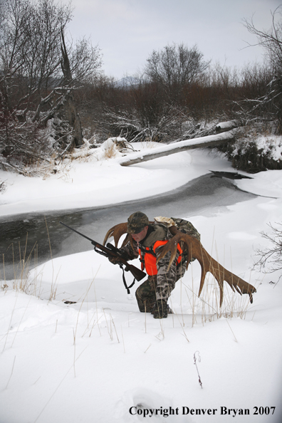 Moose hunter in field