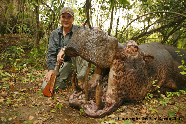 Hunter with bagged hippopotamus
