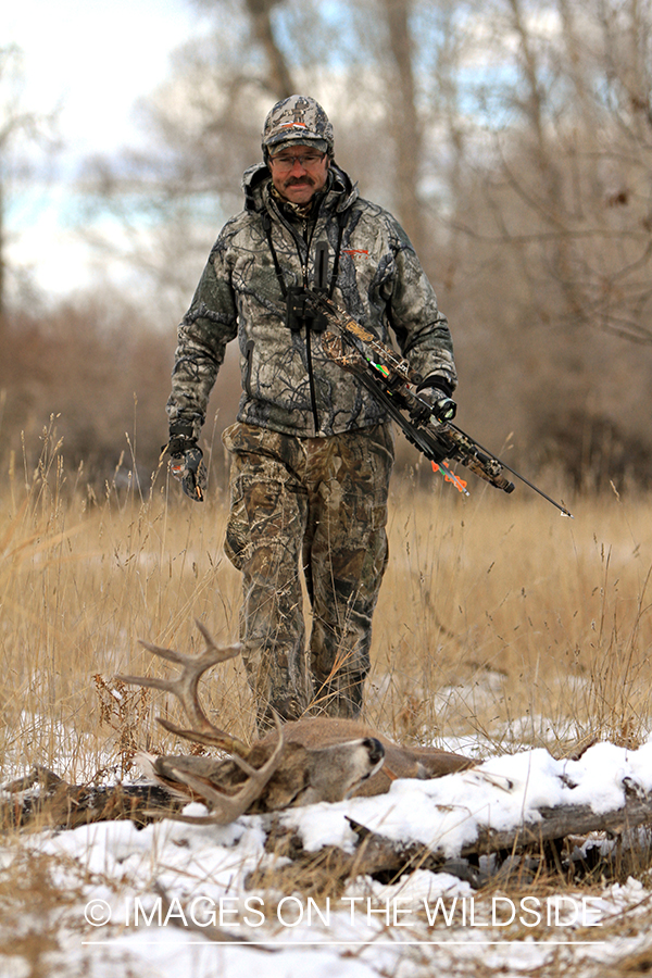 Bowhunter approaching downed white-tailed buck.