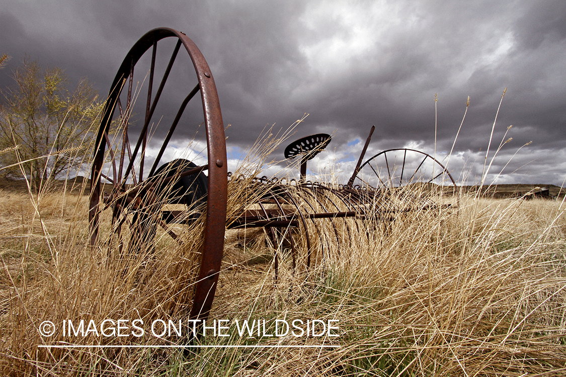 Eastern Montana Landscapes